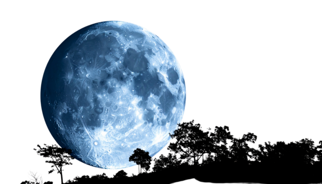 full moon behind tree silhouette isolated on transparent background