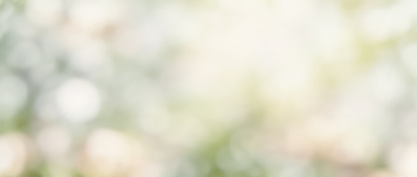 Abstract blurred background with bokeh lights in white green and beige tones.