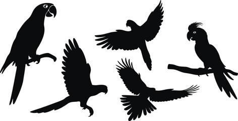 Vector parrot silhouette illustration isolated on white background – tropical bird icon for logo, print, or nature-themed design projects.