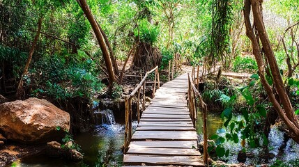 A narrow wooden bridge crossing a small, bubbling creek in a forest, the surrounding trees creating a peaceful, shaded haven. 