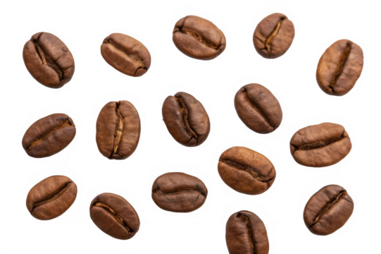 coffee beans isolated on white or transparent png 