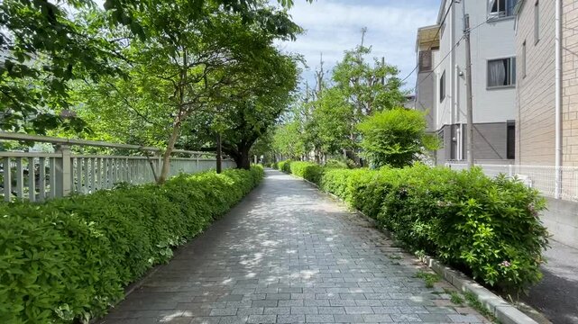 神田川5月：遊歩道を散策 2025/5/7
