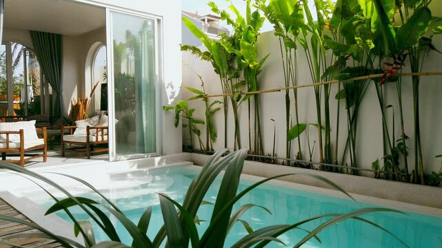 Serene poolside oasis with lush greenery and sunlit room transition
