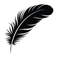 Fototapeta premium Fashion Design Feather Silhouette, Vector, Illustration, Icon, Logo, White Background.