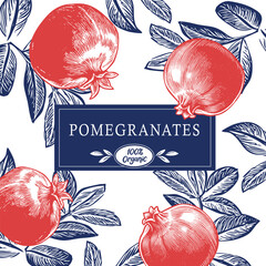 Vintage-style illustration of organic pomegranates with leaves and 100% Organic label. Perfect for food packaging, farm markets, or healthy lifestyle branding.