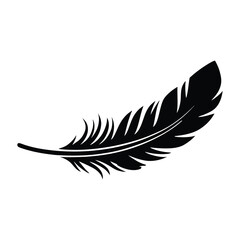 Fototapeta premium Gift Card Feather Silhouette, Vector, Illustration, Icon, Logo, White Background.