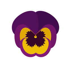 Pansy flower illustration on transparent background. Cute flower flat design element. PNG illustration.