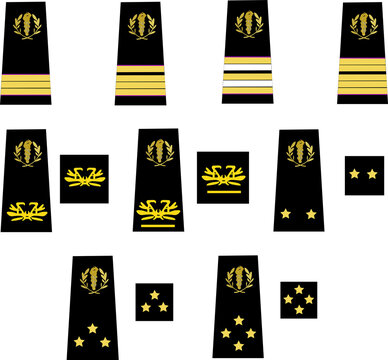 Ensemble des galons de l'arm&eacute;e de terre fran&ccedil;aise du personnel de sant&eacute; des arm&eacute;es: M&eacute;decin militaire: M&eacute;decin des arm&eacute;es, principal, chef, chef de service, classe, hors classe, g&eacute;n&eacute;ral, inspecteur	