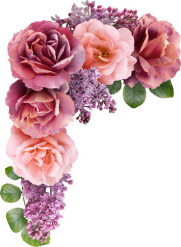 Floral arrangement featuring pink and burgundy roses intertwined with lilac blossoms. Isolated on a transparent background this elegant bouquet is ideal for wedding invitations, greeting cards.