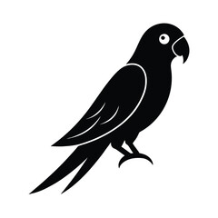 Fototapeta premium Perched Parrot Beak Vector Art