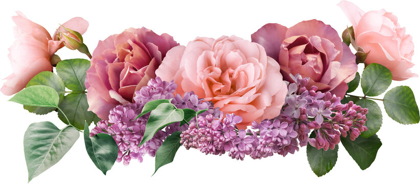 Floral arrangement featuring pink and burgundy roses intertwined with lilac blossoms. Isolated on a transparent background this elegant bouquet is ideal for wedding invitations, greeting cards.