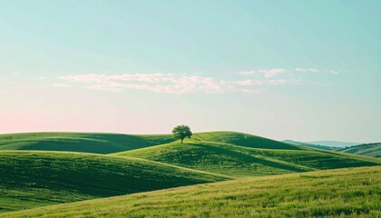 Tranquil landscape of undulating green hills with a solitary tree against a blue sky