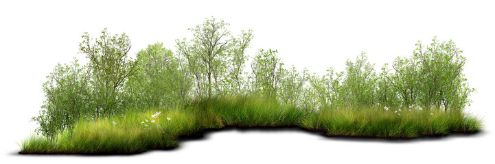Lush green shrubs and foliage growing naturally among tall grass.
