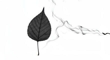 Leaf and Smoke Abstract - A single leaf and wisps of smoke on a white background, creating a minimalist and evocative