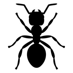 Black Silhouette of an Ant with Six Legs and Antennae Isolated