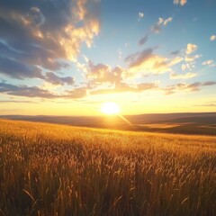 Fototapeta premium Golden wheat field at sunset with dramatic clouds and sky landscape in Palouse Washington state scenic view