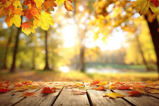 Autumn park scene, wooden planks, fallen leaves
