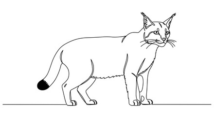 Obraz premium Bobcat sketch standing in profile on a plain background 