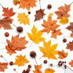 autumn maple leaves seamless pattern on white