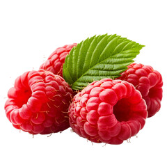 raspberry isolated on white