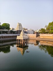 Kanchipuram or the ancient religious center of South India or the city of a thousand gopur, sri kanchi kamatchi amman temple.