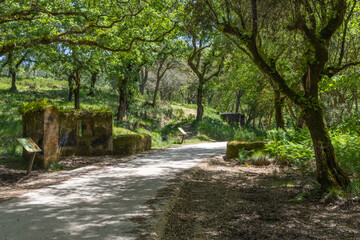 Exploring the enchanting tapada nacional de mafra, a journey through nature, history, and tranquility