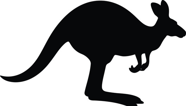 A cute black kangaroo vector illustration depicts a wild mammal with a baby, its tail outlined in a cartoon design