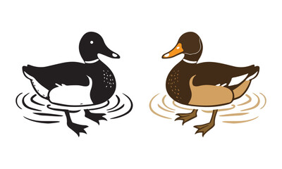 duck vector illustration