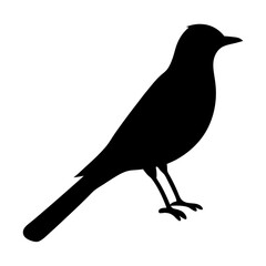 Silhouette of a small bird standing tall on its thin legs