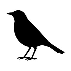 Silhouette of a standing bird, showcasing dark, striking form against white background