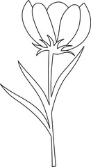 Flower Line Art