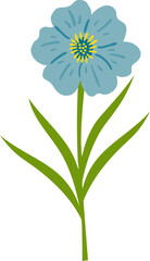 Wildflower Illustration