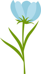 Wildflower Illustration