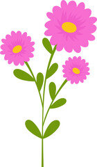 Wildflower Illustration