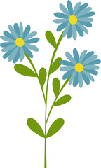 Wildflower Illustration