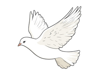 Flying Dove Vector Illustration – Peace Bird Clipart with Open Wings