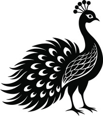 Peacock silhouette vector illustration on white background