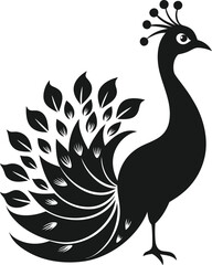 Peacock silhouette vector illustration on white background