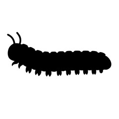 A Silhouetted Millipede Crawling Across a White Background in Stark Contrast