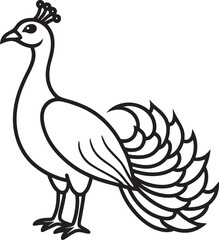 peacock line art vector illustration 