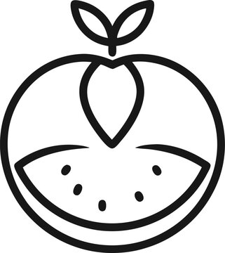 recommend clip art: Arava Melon icon line art vector on transparent background