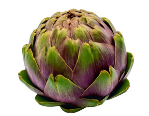 Obraz premium Closeup of a vibrant artichoke, showcasing its intricate textures and rich purplegreen hues.
