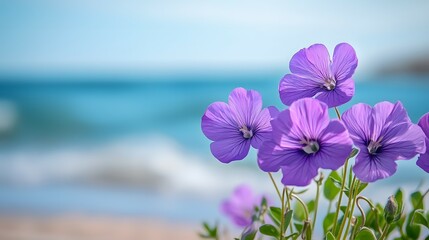 Beautiful Purple Spring Flowers in Nature with Shiny Sun and Blurred Background