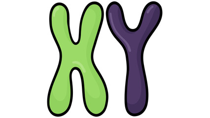 Genetic, 2 chromosome: Green and purple