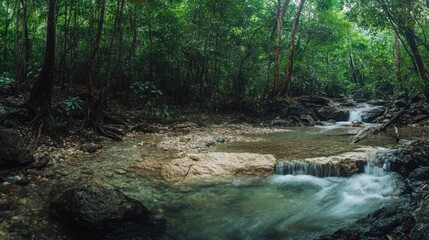 Obraz premium Tranquil jungle stream flows over rocks. Lush rainforest background. Ideal for nature documentaries