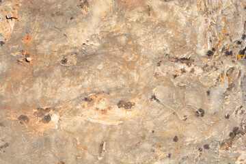 Detail of a stone surface on a sunny day