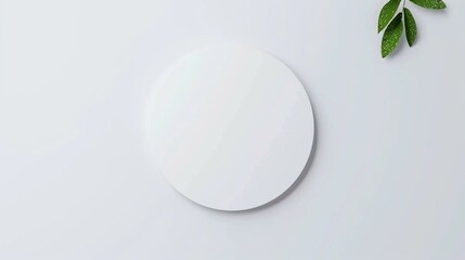 Minimalist White Circular Shape on Light Background with Green Leaves