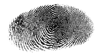Fingerprint isolated on white background, close up, concept of identification and security