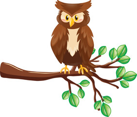owl on branch