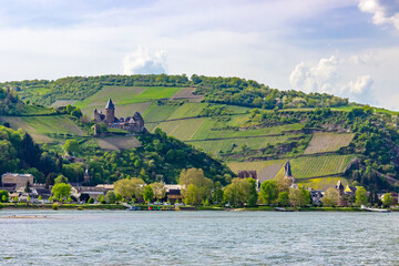 Burg Stahleck above Bacharach (Germany) with St. Peter Church and Werner Chapel, surrounded by vineyards on a spring day
